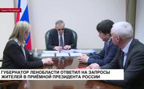 Губернатор Ленобласти ответил на запросы жителей в приемной президента России