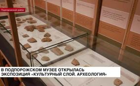 В Подпорожском музее открылась экспозиция «Культурный слой. Археология»