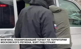 Мужчина, планировавший теракт на территории Московского региона, взят под стражу
