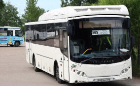 Ситуация с автобусным маршрутом №565 поставлена на контроль в Ленобласти