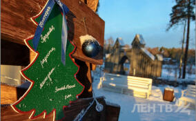 Выборг стал самым популярным в Ленобласти по числу бронирований жилья в Новый год