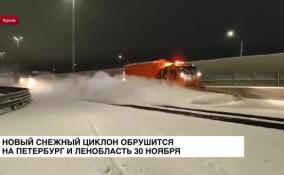 Новый снежный циклон обрушится на Петербург и Ленобласть 30 ноября