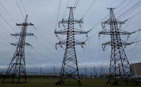 За 9 месяцев в Ленобласти обеспечили электричеством свыше 23 тысяч объектов