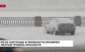Из-за снегопада в Ленобласти объявлен желтый уровень опасности