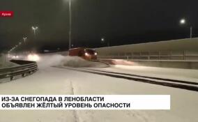 В Петербурге начался снегопад