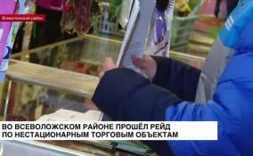 Ларьки и киоски Всеволожского района проверили на предмет обращения с мусором