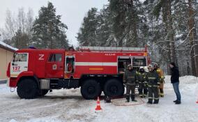 Отличившихся при тушении пожаров добровольцев наградили в Толмачево