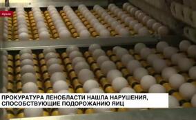 Прокуратура Ленобласти обнаружила нарушения, способствующие подорожанию яиц