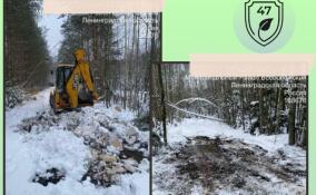 Нелегальную свалку ликвидировали в лесу во Всеволожске