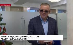 Александр Дрозденко дал старт акции «Елка желаний»