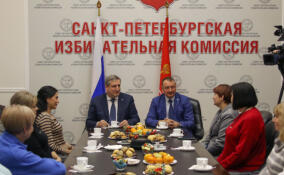 Избирком Санкт-Петербурга провел встречу с представителями территориальных комиссий новых регионов РФ