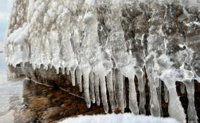 «Медузы или ледяные люстры»: Александр Дрозденко поделился фото с Финского залива