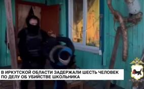 В Иркутской области задержали шесть человек по делу об убийстве школьника