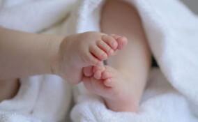 Более тысячи детей родились в ноябре в Ленобласти