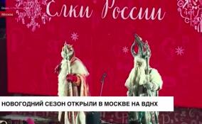 Новогодний сезон официально открыли в Москве на ВДНХ