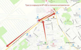 Во Всеволожске отменили автобусный маршрут №430А