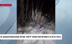 В Хабаровском крае тигр убил мужчину и его пса