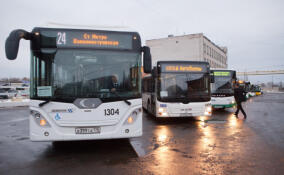 В Ленобласти прорабатывают варианты продления автобусного маршрута №477 до Хвойного