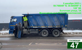 Во Всеволожском районе привлекли к ответственности водителей грузовиков с мусором