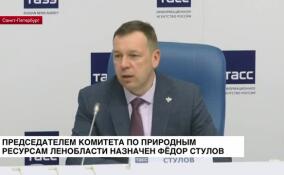Председателем комитета по природным ресурсам Ленобласти назначен Федор Стулов