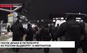 Петербургские полицейские расследуют дело о массовой драке в Приморском районе
