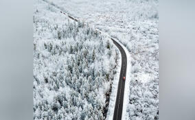 Водителям Ленобласти напомнили правила езды в мороз с туманом