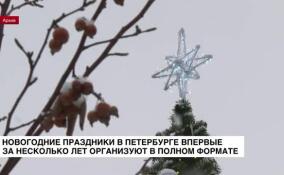 Новогодние праздники в Петербурге впервые за несколько лет организуют в полном формате