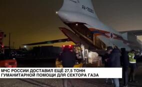 Самолет МЧС России Ил-76 доставил для жителей сектора Газа еще 27,5 тонн гуманитарной помощи