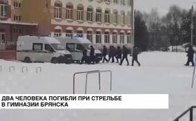 Два человека погибли при стрельбе в гимназии Брянска