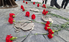 В Ульяновке появилось "Дерево жизни" в память о погибших на СВО бойцах