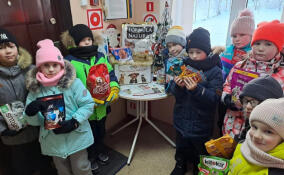 Ребята из Подпорожья присоединились к благотворительной акции "Сытый Новый год"