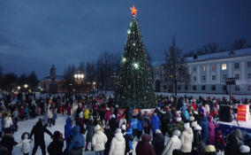 На главной ёлке Бокситогорска загорелись первые новогодние огни