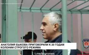 Анатолия Быкова приговорили к 20 годам колонии строгого режима