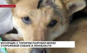 Мужчина с топором разрубил морду сторожевой собаке в Ленобласти