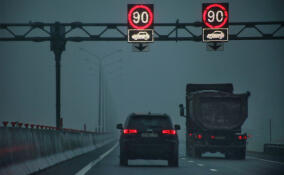 Свыше 260 ДТП случилось в Ленобласти за выходные