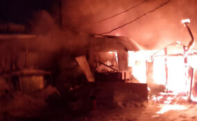 В деревне Вартемяги при пожаре в ангаре пострадали два человека