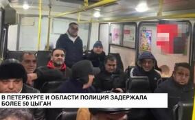 В Петербурге и области полиция задержала более 50 цыган