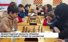 Ленинградская область приняла международный турнир по шахматам