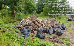 В Ленобласти с начала года ликвидировали 230 стихийных свалок