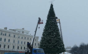 На Красной площади в Выборге установили новогоднюю ель