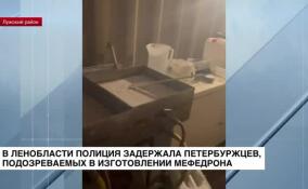 В Ленобласти полиция задержала петербуржцев, подозреваемых в изготовлении мефедрона