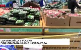 Цены на яйца в России поднялись на 36,6% с начала года