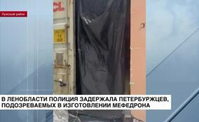 В Ленобласти полиция задержала петербуржцев, подозреваемых в изготовлении мефедрона