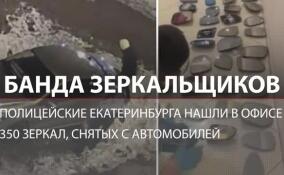 Банда ночных зеркальщиков: сотни машин в Екатеринбурге остались без боковых зеркал