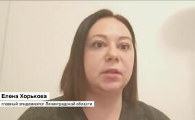 Елена Хорькова рассказала об эпидемиологической обстановке в Ленобласти