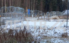 Правительство Финляндии вновь закрывает КПП на границе с Россией