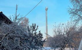 В Ленобласти десять населенных пунктов подключили к 4G