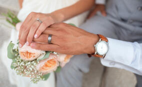 Более 600 пар вступали в брак в ноябре в Ленобласти
