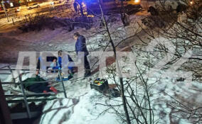Мертвого мужчину нашли в сугробе на проспекте Мечникова в Петербурге