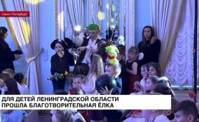 Для детей Ленинградской области прошла благотворительная елка
